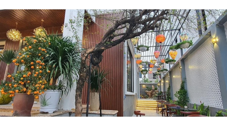 Tấm ốp tường E Shaped